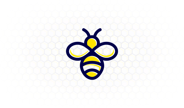 蜜蜂加速器